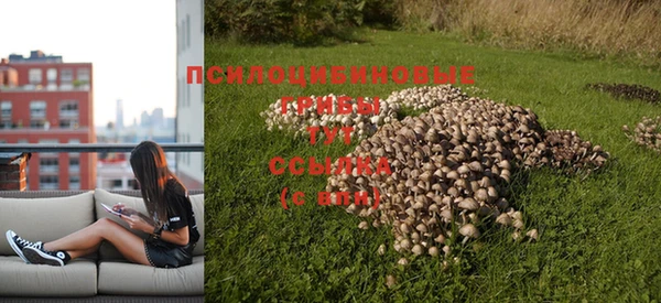 прущий лед Михайловка