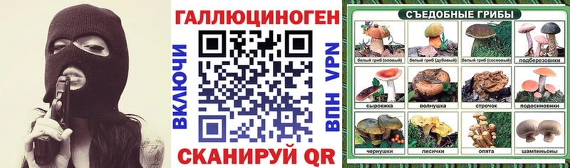 Псилоцибиновые грибы прущие грибы  купить закладку  Осинники 